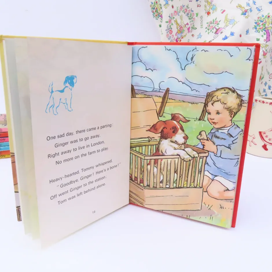 Cottontails Baby Vintage|VINTAGE Ladybird book - Ginger's Adventures (1974)