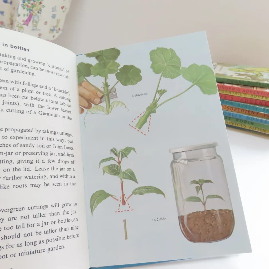 Cottontails Baby Vintage|VINTAGE Ladybird book - Indoor Gardening (c.1971)
