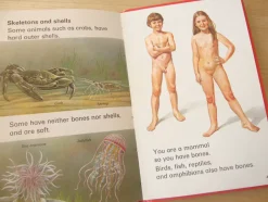 Cottontails Baby Vintage|VINTAGE Ladybird book - Living Things (mid-late 1970s)