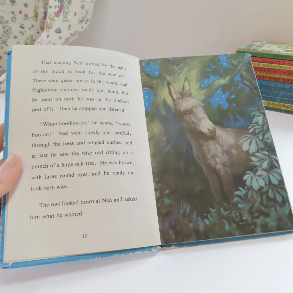 Cottontails Baby Vintage|VINTAGE Ladybird book - Ned the Lonely Donkey (mid 1960s)