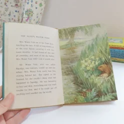 Cottontails Baby Vintage|VINTAGE Ladybird book - The Sleepy Water Vole with DJ (late 1950s)