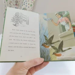 Cottontails Baby Vintage|VINTAGE Ladybird book - The Wise Robin (c.1970)