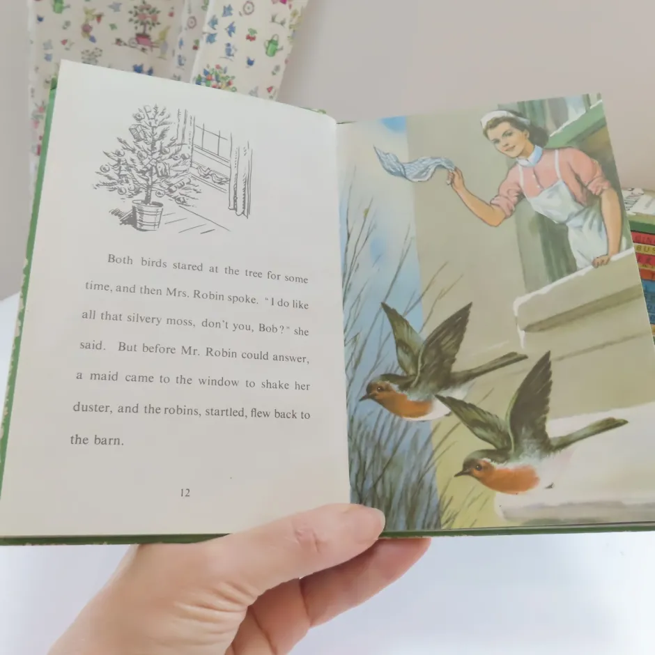Cottontails Baby Vintage|VINTAGE Ladybird book - The Wise Robin (c.1970)