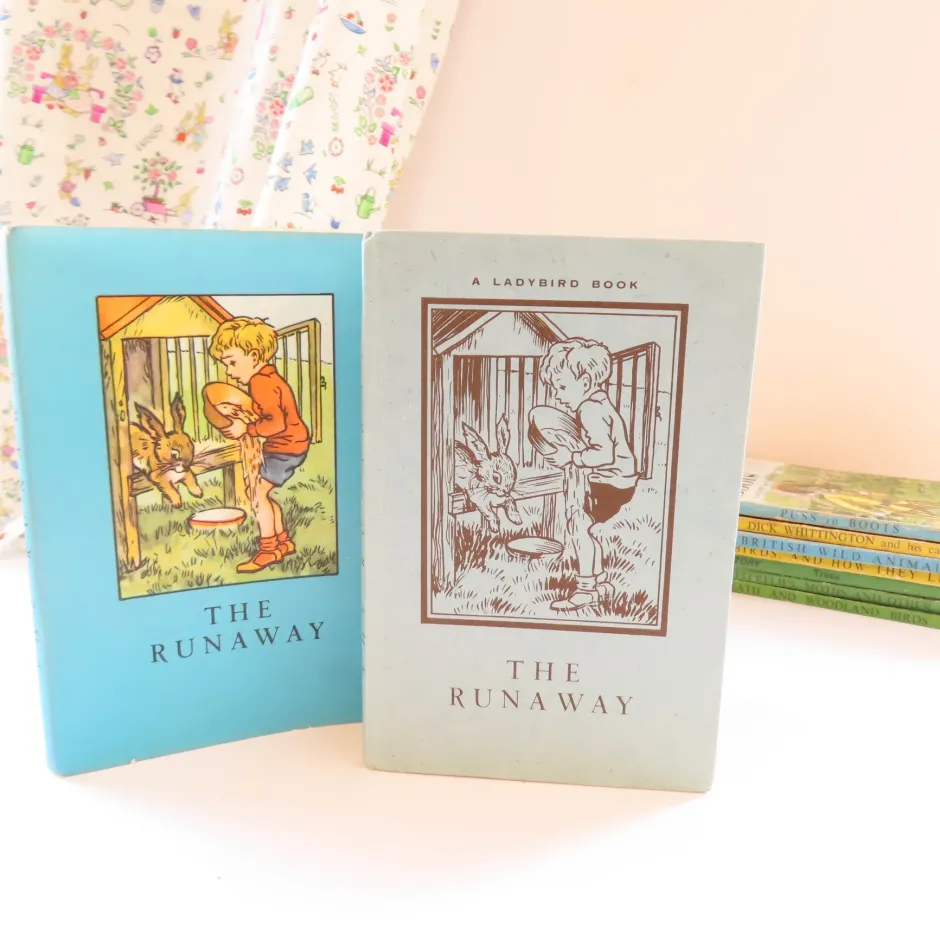 Cottontails Baby Vintage|VINTAGE Ladybird book - The Runaway with DJ (late 1950s)