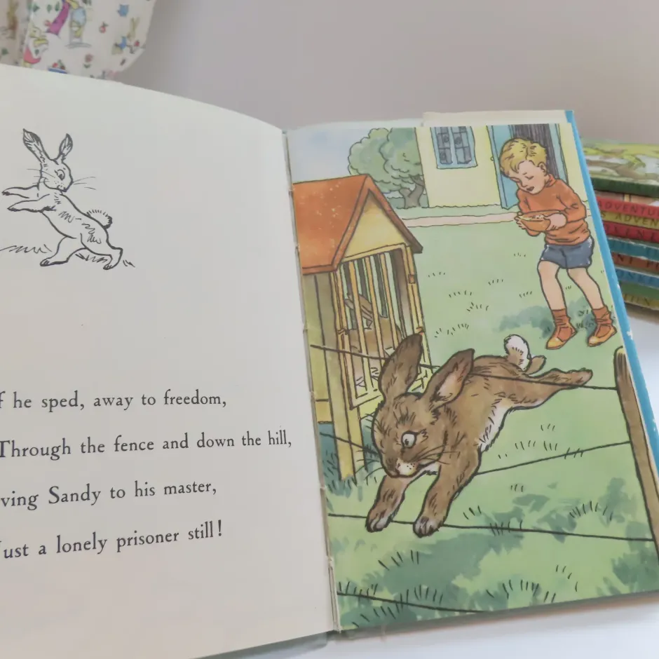 Cottontails Baby Vintage|VINTAGE Ladybird book - The Runaway with DJ (late 1950s)