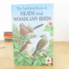 Cottontails Baby Vintage|VINTAGE Ladybird book of Heath and Woodland Birds (1971)