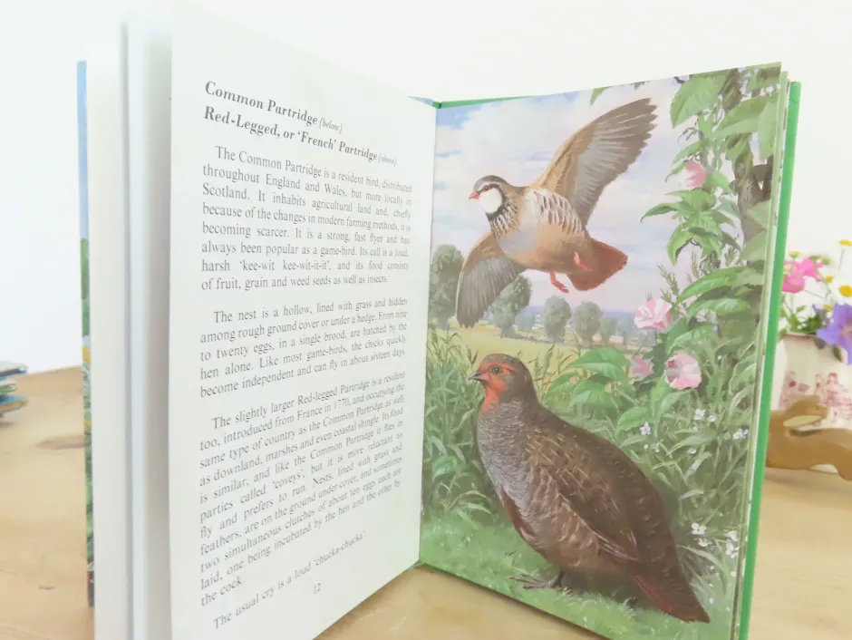 Cottontails Baby Vintage|VINTAGE Ladybird book of Heath and Woodland Birds (1971)