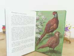 Cottontails Baby Vintage|VINTAGE Ladybird book of Heath and Woodland Birds (1971)