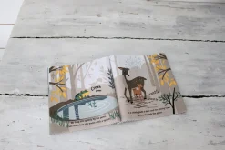 Cottontails Baby Musical & Activity|Musical & Activity|Woodland Hush Cloth Book